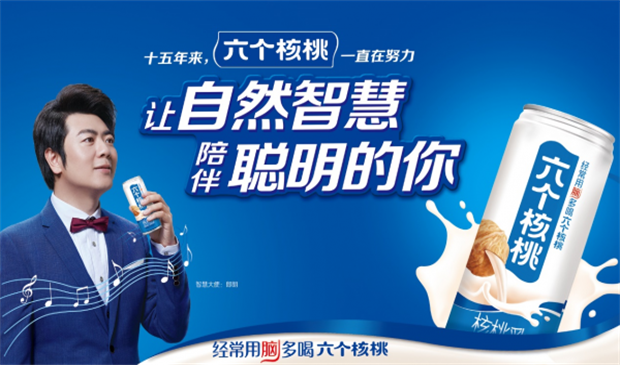 六個核桃品牌戰(zhàn)略,六個核桃的品牌戰(zhàn)略分析,六個核桃的品牌戰(zhàn)略