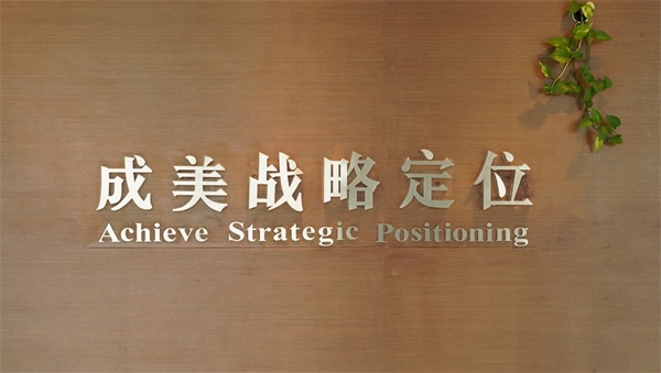 國內(nèi)好的品牌戰(zhàn)略定位公司有哪些？